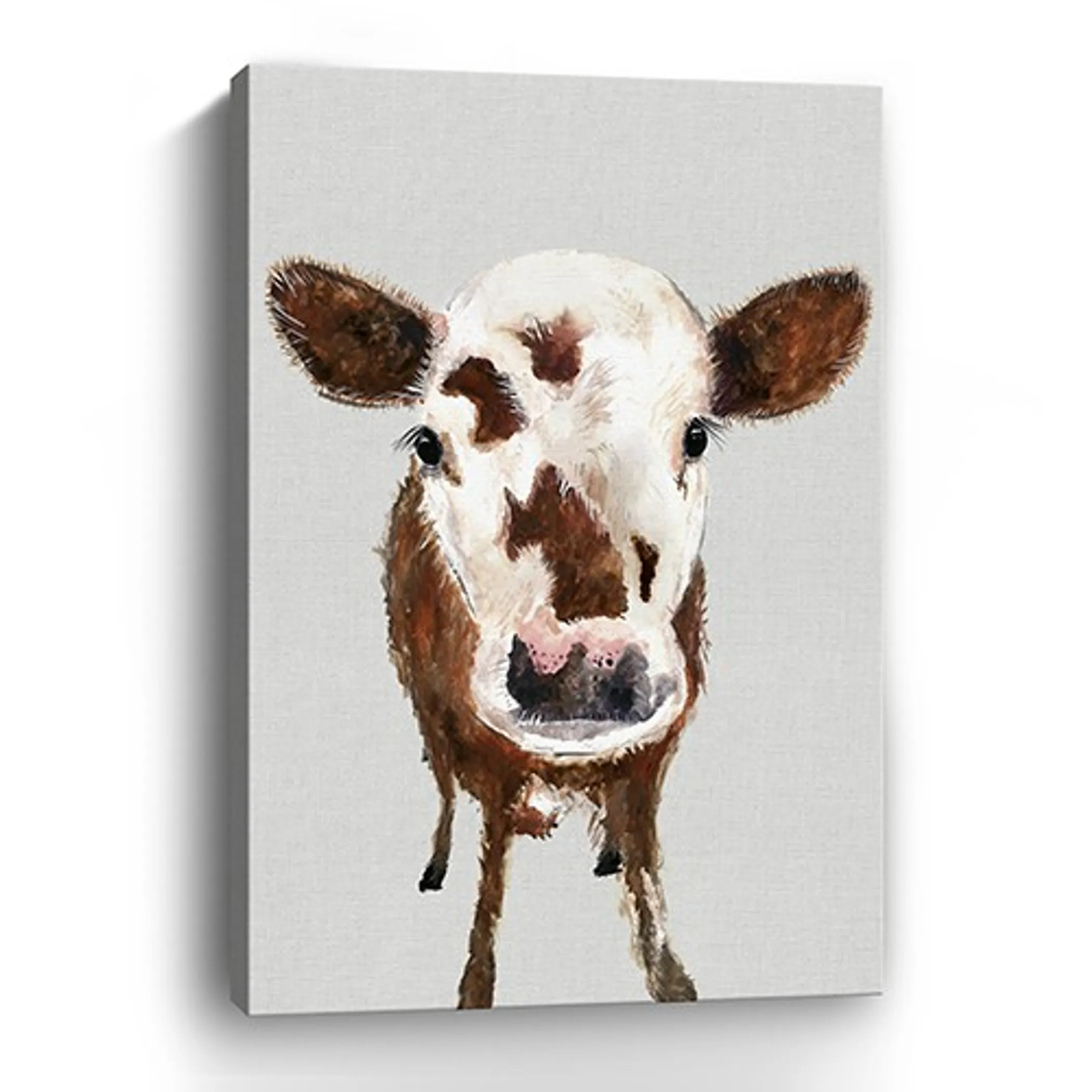 48" x 32" Brown and White Baby Cow Face Canvas Wall Art - Image 2