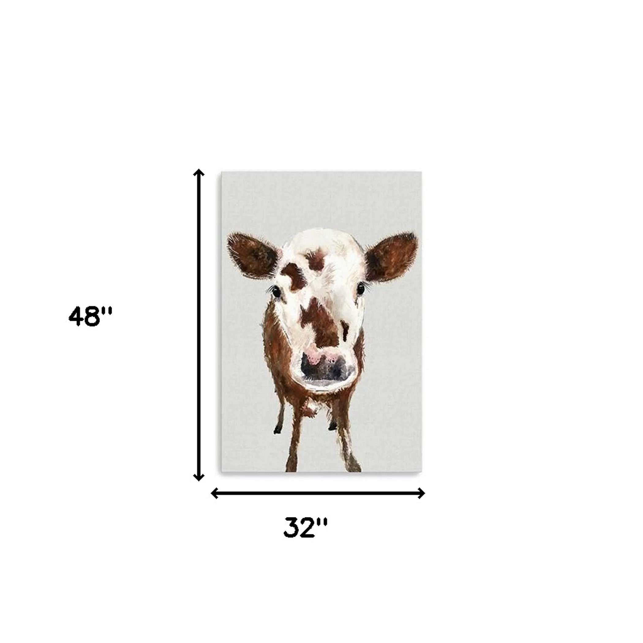 48" x 32" Brown and White Baby Cow Face Canvas Wall Art - Image 5