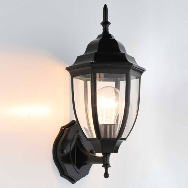 Outdoor Wall Light DTV451