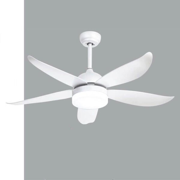 Ceiling Fan with Light QDR20