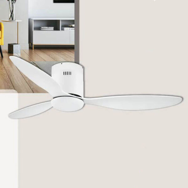 Ceiling Fan with Light QDX78