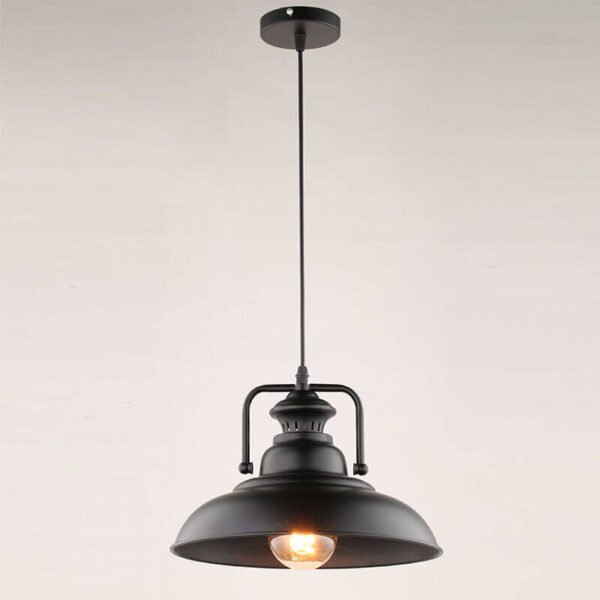 Pendant Light Decorative TVN229